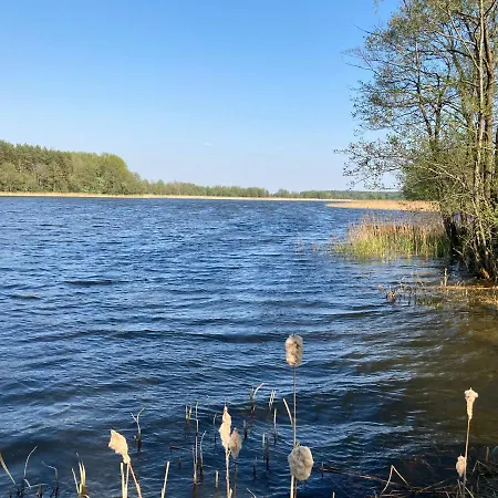 Cisy Resort-bon turystyczny,,ogrodzony teren na wyłączność,150 m od jeziora Domek letniskowy *