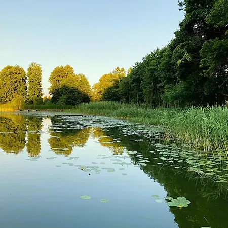 Alojamento de Turismo Selvagem Cisy Resort-idealny Dla Gosci Ze Zwierzetami,ogrodzony Teren Na Wylacznosc,150 M Od Jeziora *