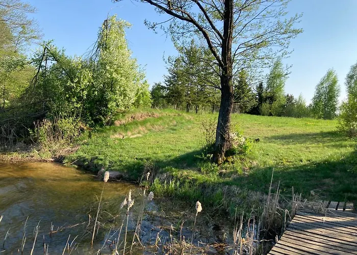 Cisy Resort-idealny Dla Gosci Ze Zwierzetami,ogrodzony Teren Na Wylacznosc,150 M Od Jeziora *