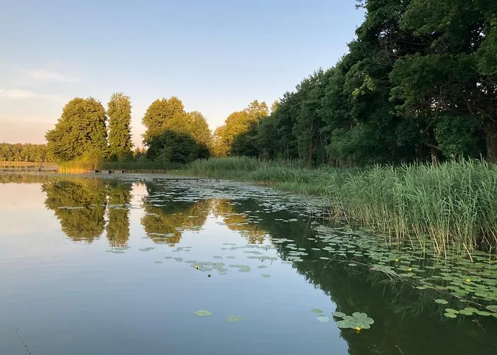 Lodge Cisy Resort-idealny Dla Gosci Ze Zwierzetami,ogrodzony Teren Na Wylacznosc,150 M Od Jeziora