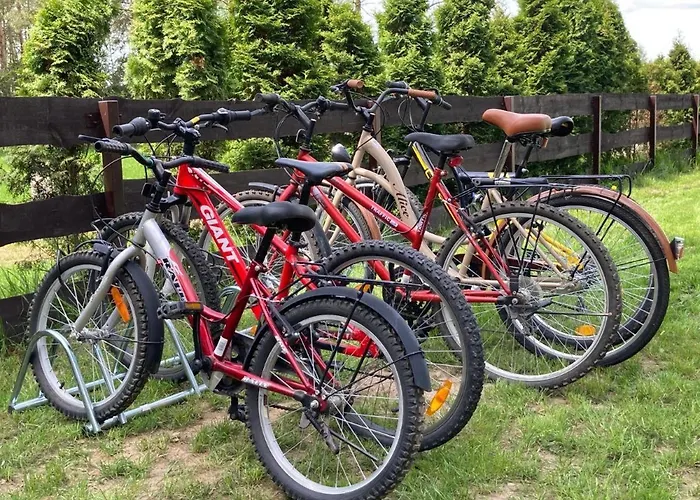 Cisy Resort-idealny Dla Gosci Ze Zwierzetami,ogrodzony Teren Na Wylacznosc,150 M Od Jeziora * Makosieje